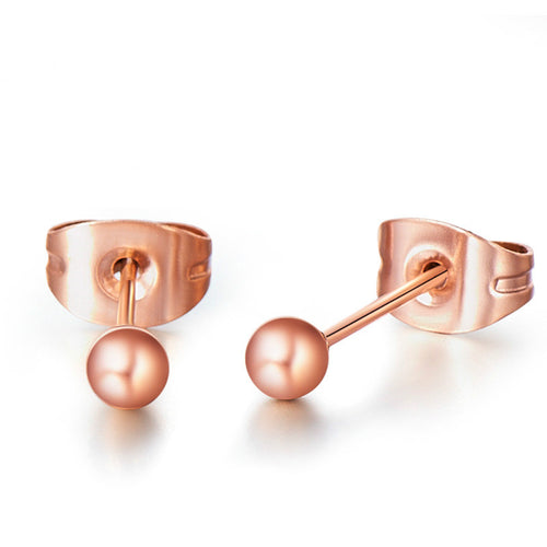 Minimalist Round Silver Rose Gold Earrings
